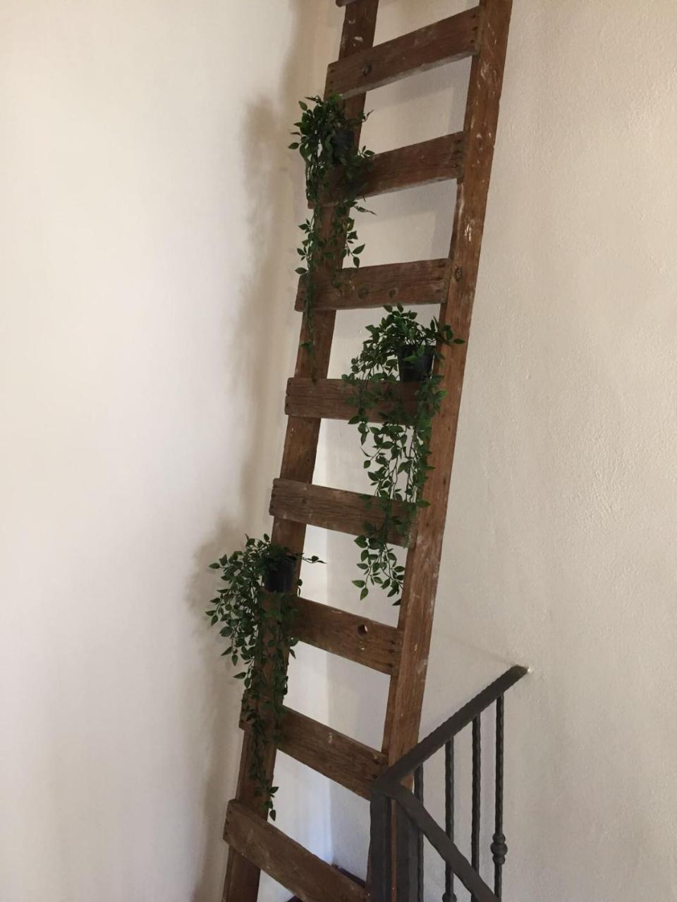 B&B La Corte San Francesco Bari Ngoại thất bức ảnh